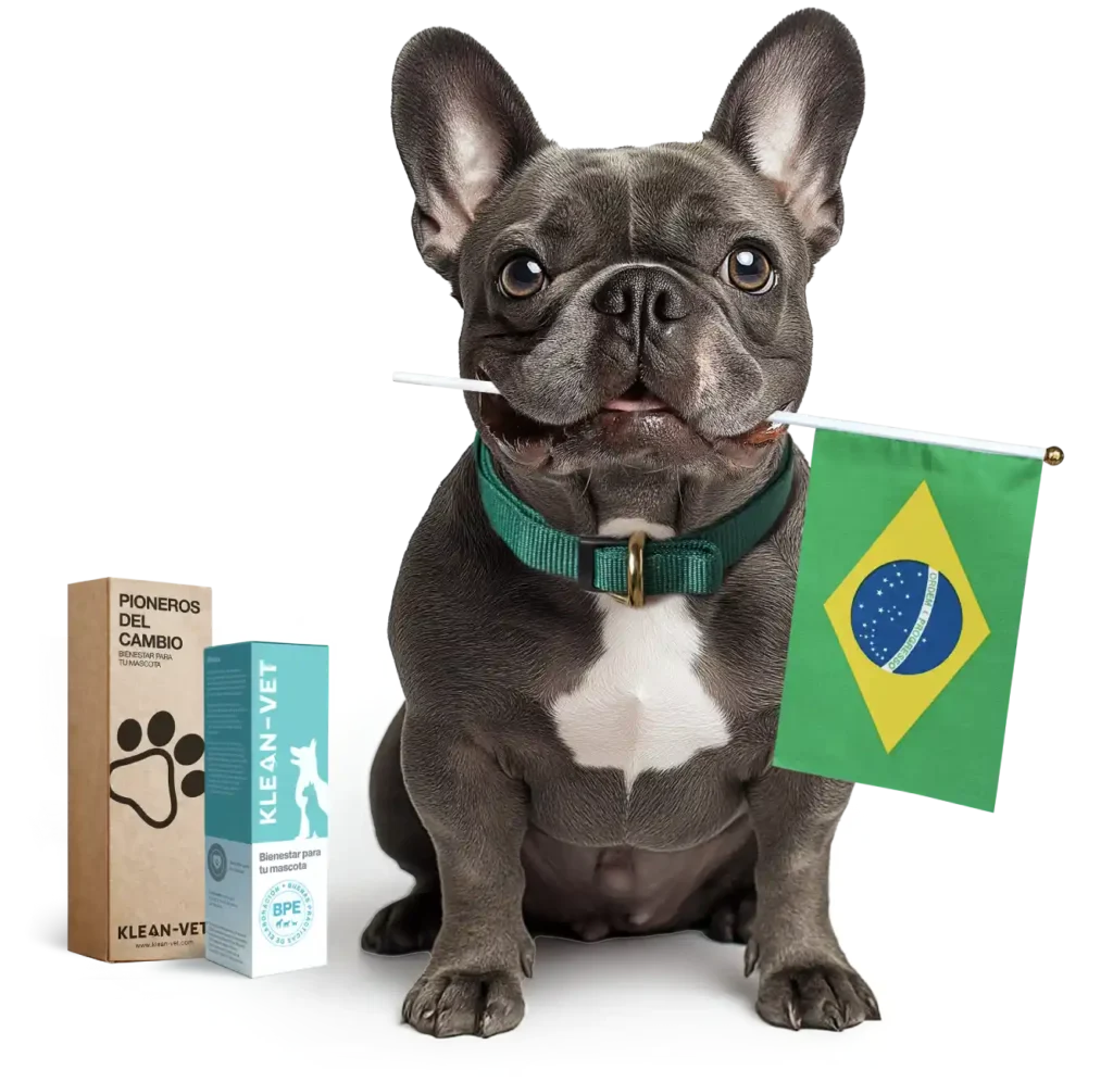 kv max brasil